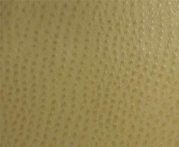 Phoenix(Contract Vinyl) # 013 Willow by Maxwell Fabric Vinyls Iv - Contract 100% PVC BACKING-100% POLYESTER TAIWAN 54" - Fabric Carolina -