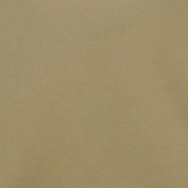 Pony Express # 1014 Rye by Maxwell Fabric 100% POLYURETHANE CHINA 54" - Fabric Carolina -