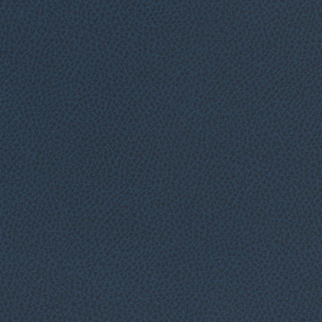 Scene # 761 Admiral by Maxwell Fabric Easy Rider Vii FACE: 95% POLYURETHANE/ 5% SILICONE
BACKING:100% POLYESTER TAIWAN 54" - Fabric Carolina -