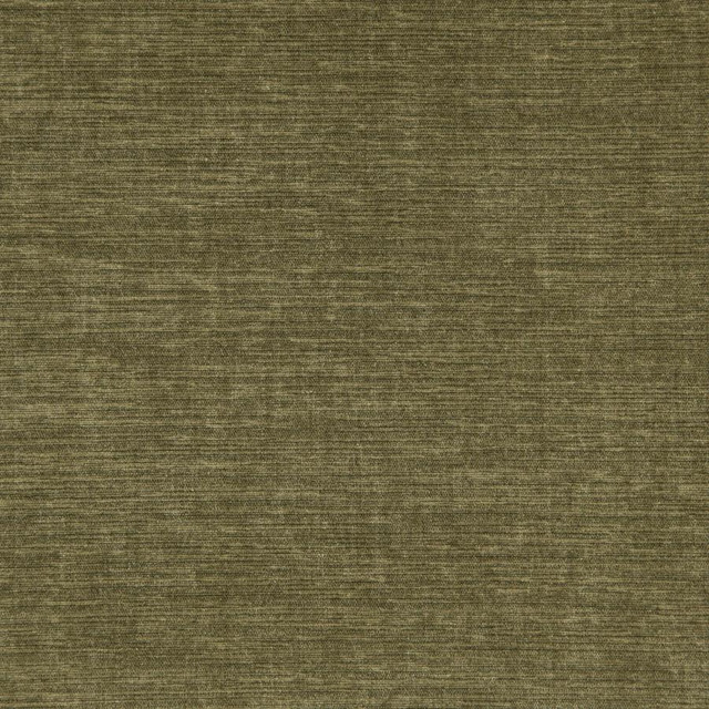 Shavasana # 23 Cactus by Maxwell Fabric Curled Up V 100% POLYESTER INDIA 54.3" - Fabric Carolina -