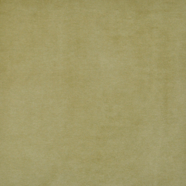 Snug # 421 Olive by Maxwell Fabric Performance Velvets-Vol.I 67.2% POLYESTER 32.8% COTTON TURKEY 55" - Fabric Carolina -