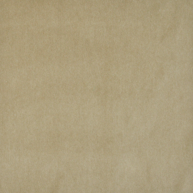 Snug # 428 Fawn by Maxwell Fabric Performance Velvets-Vol.I 67.2% POLYESTER 32.8% COTTON TURKEY 55" - Fabric Carolina -