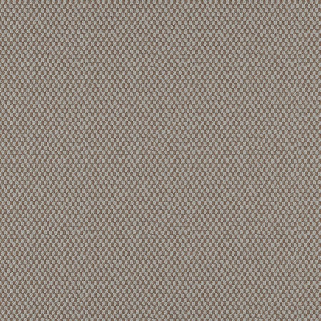 Take Off # 601 Granite by Maxwell Fabric 100% POLYESTER CHINA 56" - Fabric Carolina -