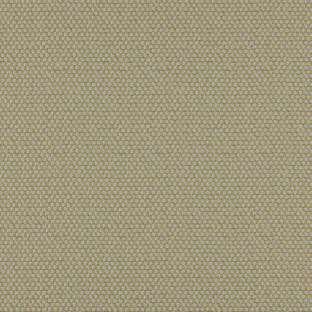 Take Off # 613 Moss by Maxwell Fabric 100% POLYESTER CHINA 56" - Fabric Carolina -