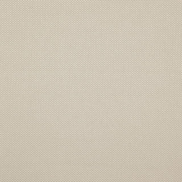 Tesseract # 10 Tapioca by Maxwell Fabric Weave Works Iv 100% POLYESTER CHINA 59" - Fabric Carolina -