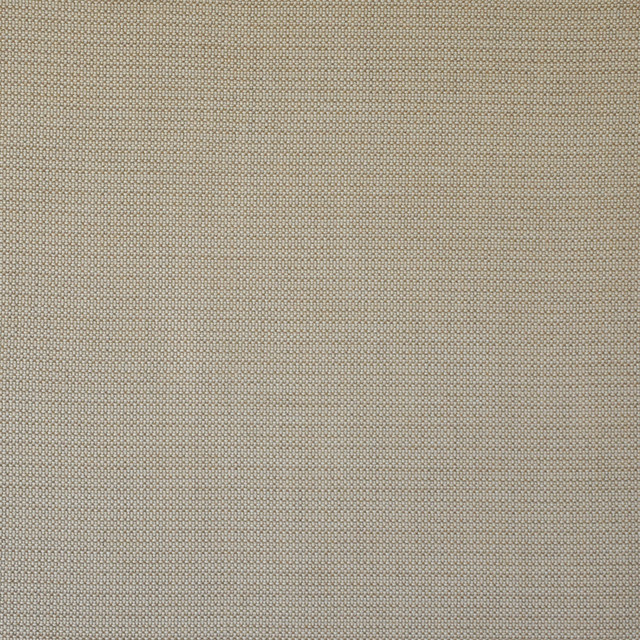 Wet Sand # 501 Camel by Maxwell Fabric Home & Garden-Act I 100% SUNBRELLA ACRYLIC USA 54" - Fabric Carolina -