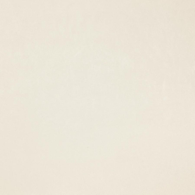 Zurich # 38 Angora by Maxwell Fabric Glam Velvet 100% POLYESTER INDIA 56.75" - Fabric Carolina -