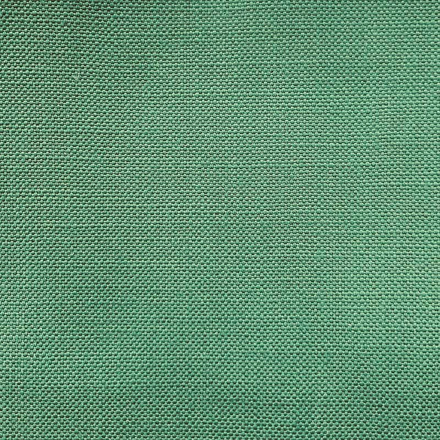 Jagger Goosefestival by Magnolia Fabric - 100% Cotton India 50000 Horizontal: 0 and Vertical: 0 54" - Fabric Carolina -