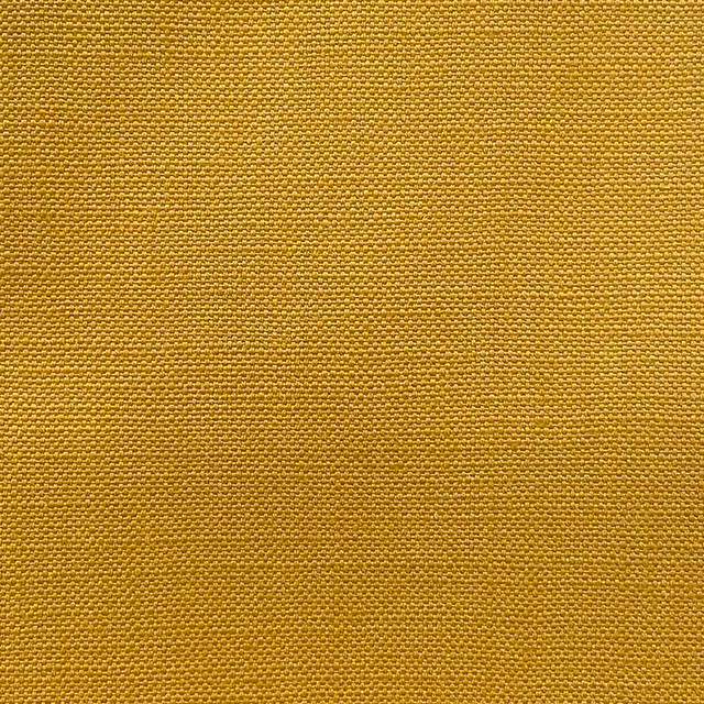 Jagger Mustard by Magnolia Fabric - 100% Cotton India 50000 Horizontal: 0 and Vertical: 0 54" - Fabric Carolina -