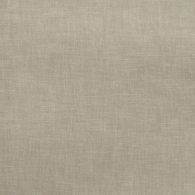 Wilkes Feather by Magnolia Fabric - 71 Polly/29 Cotton India 30000 Horizontal: 0 and Vertical: 0 54" - Fabric Carolina -
