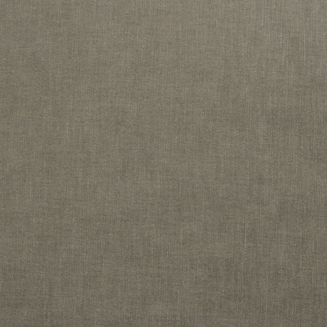 Wilkes Wolf by Magnolia Fabric - 71 Polly/29 Cotton India 30000 Horizontal: 0 and Vertical: 0 54" - Fabric Carolina -