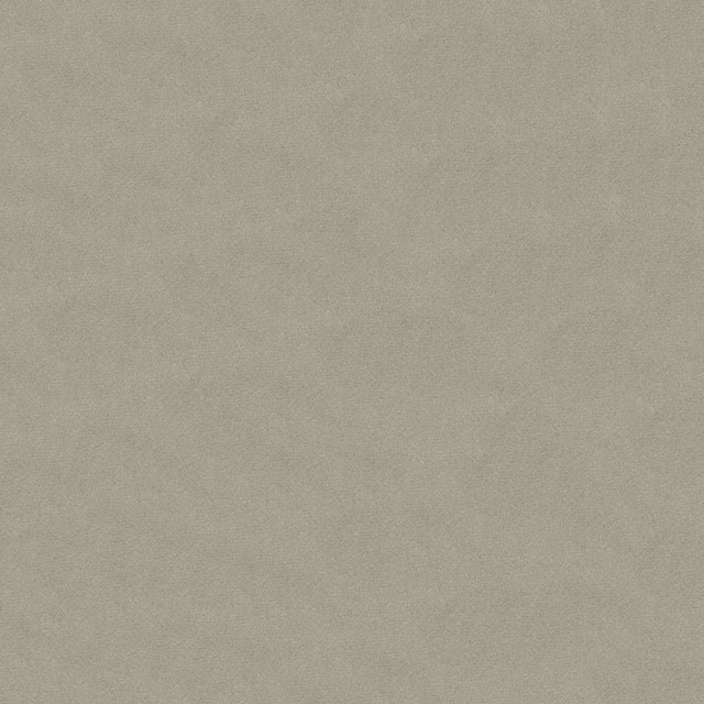 Benjamin 97 Cinder by ABBEYSHEA Fabric N/A 85% Polyester, 15% Cotton China 50,000 Double Rubs </p><p>Repeat: Horizontal: 13.5" (34.3 cm) Across the Roll and Vertical: 28.0" (71.1 cm) Up the Roll 56" (142 cm) - Fabric Carolina -