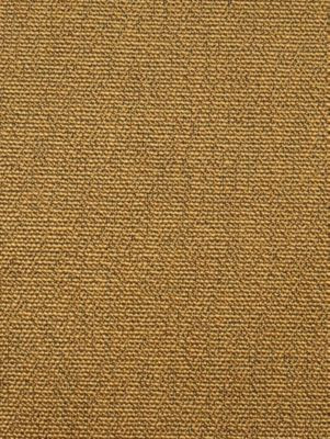<p>Boss Boucle Butternut SC272470008 by Scalamandre Fabric</p><p><strong>Required Minimum Quantity Purchase: Fabrics by the yard 1 YARD MINIMUM </p><p>Book: TRIO - PERFORMANCE</p><p>Content: 74% ACRYLIC 26% POLYESTER</p><p>Origin: GERMANY</p><p>Performance: HEAVY DUTY</p><p>Repeat: Horizontal: 0" and Vertical: 0"</p><p>Width: 55</p>