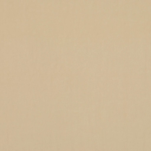 Deluxe Cotton Velvet Snow by RM CoCo Fabric