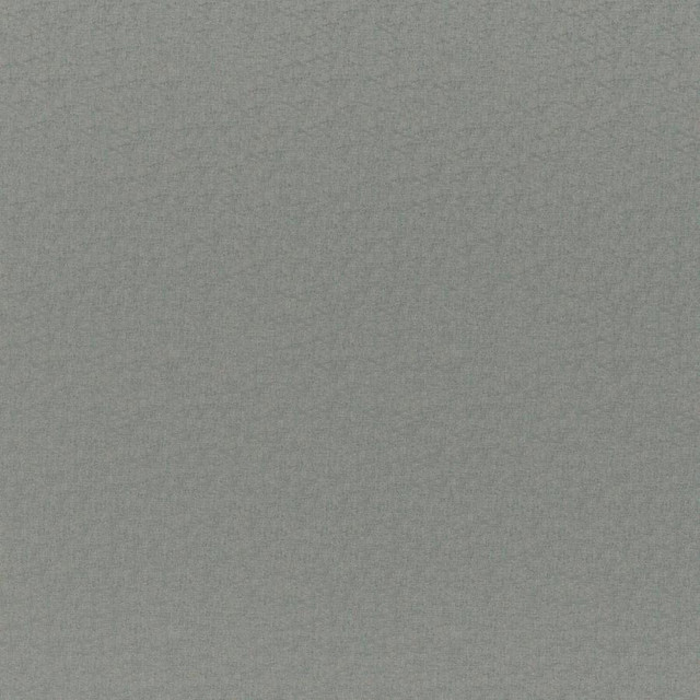 Cadenza # 772 Haze by Maxwell Fabric Curled Up Vii 100% POLYESTER CHINA 56" - Fabric Carolina -