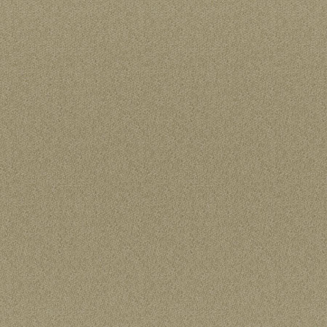 Bruno # 213 Dune by Maxwell Fabric Colorguard-Nougat 100% POLYESTER CHINA 55.9" - Fabric Carolina -