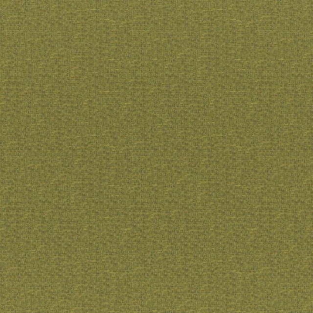 Rockhopper # 833 Fern by Maxwell Fabric Colorguard-Amazonia 55% ACRYLIC/45% POLYESTER TURKEY 54.3" - Fabric Carolina -