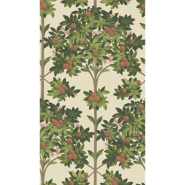Orange Blossom Orange & Spring Green/Parch by Cole & Son Wallcovering COLE & SON SEVILLE NON WOVEN - 100% United Kingdom Horizontal: 20.5 and Vertical: 35.9 20.5 - Fabric Carolina -