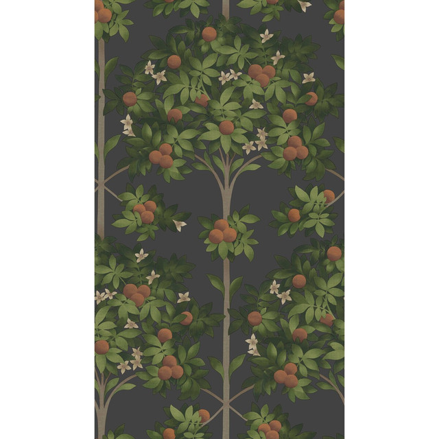 Orange Blossom Orange & Spring Green/Black by Cole & Son Wallcovering COLE & SON SEVILLE NON WOVEN - 100% United Kingdom Horizontal: 20.5 and Vertical: 35.9 20.5 - Fabric Carolina -