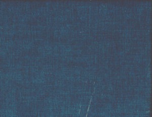 Bixby Aegean 492 by Norbar Fabric BIXBY 62% POLYESTER 38% COTTON INDIA 54 - Fabric Carolina -