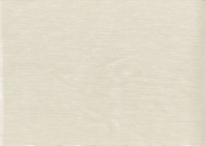 Bliss Ecru by Norbar Fabric BLISS 100% INHERENTLY FLAME INDIA 54 - Fabric Carolina -