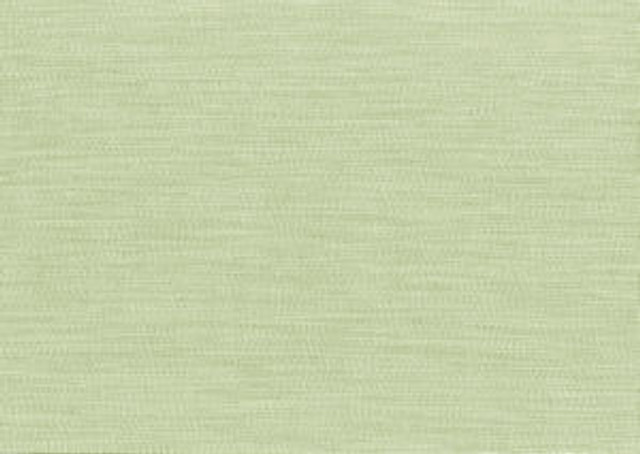 Bliss Kiwi by Norbar Fabric BLISS 100% INHERENTLY FLAME INDIA 54 - Fabric Carolina - Bliss Kiwi by Norbar Fabric BLISS 100% INHERENTLY FLAME INDIA 54 - Fabric Carolina -
