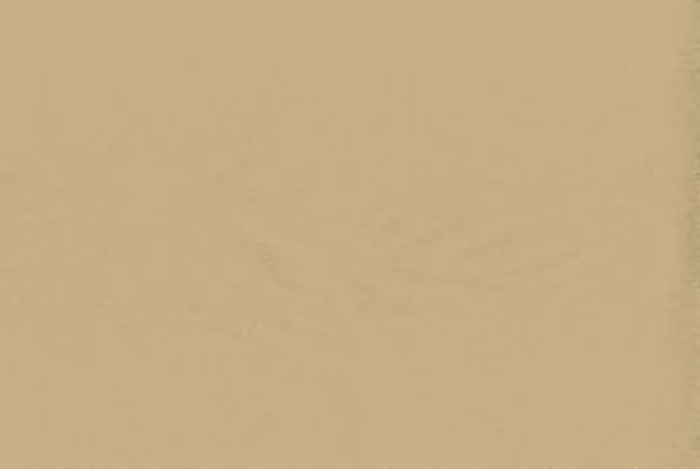 Viscaya Wheat by Norbar Fabric BLISS 100% INHERENTLY FLAME INDIA 54 - Fabric Carolina -