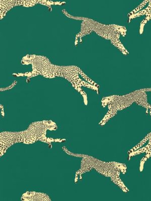 <p>Leaping Cheetah Cotton Print Evergreen SC166340005 by Scalamandre Fabric</p><p><strong>Required Minimum Quantity Purchase: Fabrics by the yard 1 YARD MINIMUM </p><p>Book: SAHARA</p><p>Content: 100% COTTON</p><p>Origin: ITALY</p><p>Performance: LIGHT DUTY</p><p>Repeat: Horizontal: 25.125" and Vertical: 27.5"</p><p>Width: 55</p>