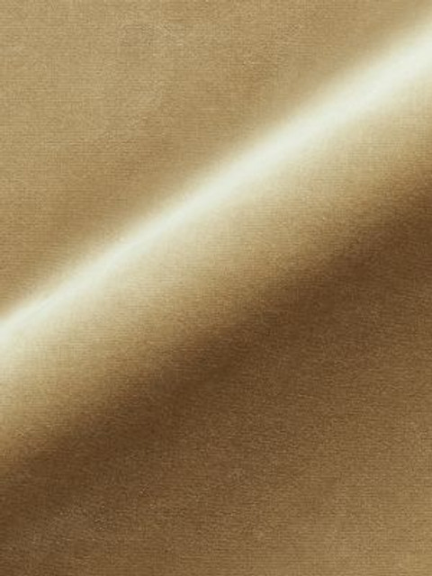<p>Torino Velvet Doe MT12470004 by Scalamandre Fabric</p><p><strong>Required Minimum Quantity Purchase: Fabrics by the yard 1 YARD MINIMUM </p><p>Book: TORINO VELVET</p><p>Content: 100% COTTON</p><p>Origin: ITALY</p><p>Performance: MEDIUM DUTY</p><p>Repeat: Horizontal: 0" and Vertical: 0"</p><p>Width: 55</p>