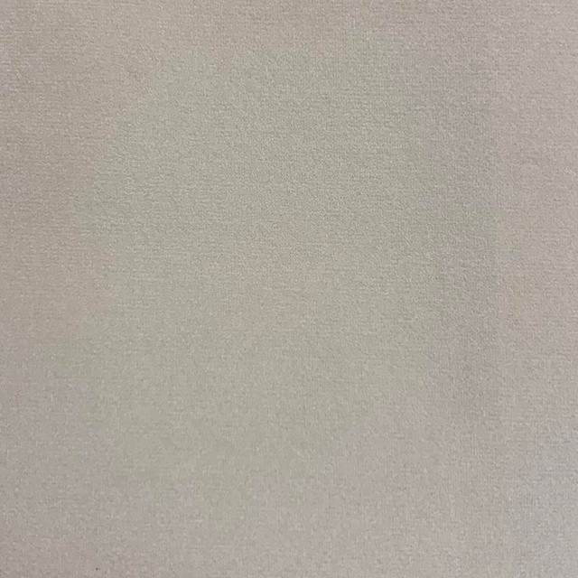 Emi Cameo by Magnolia Fabric - 100% Poly China 50000 Horizontal: 0 and Vertical: 0 56" - Fabric Carolina -