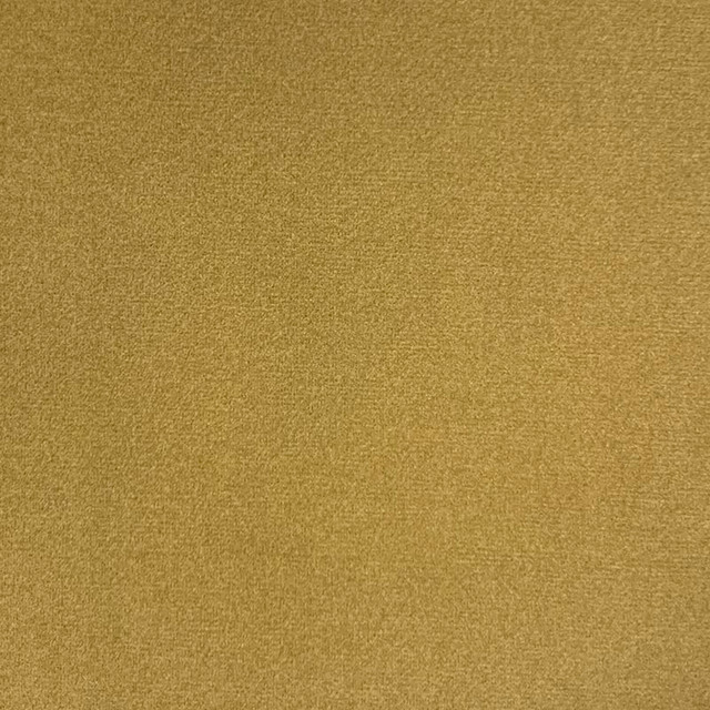 Emi Lion by Magnolia Fabric - 100% Poly China 50000 Horizontal: 0 and Vertical: 0 56" - Fabric Carolina -