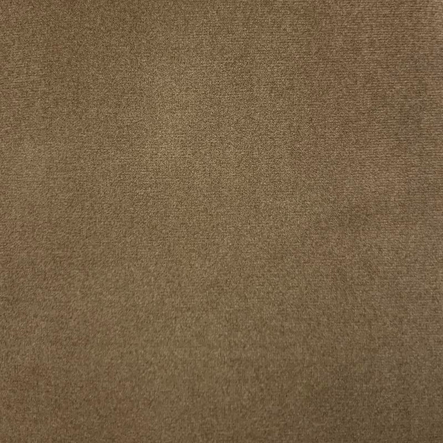 Emi Twig by Magnolia Fabric - 100% Poly China 50000 Horizontal: 0 and Vertical: 0 56" - Fabric Carolina -