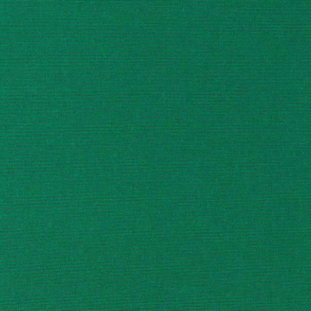 Od-Vilmer Green by Magnolia Fabric - 100% Solution Dyed Acrylic Mexico 15000 Horizontal: 0 and Vertical: 0 60" - Fabric Carolina -