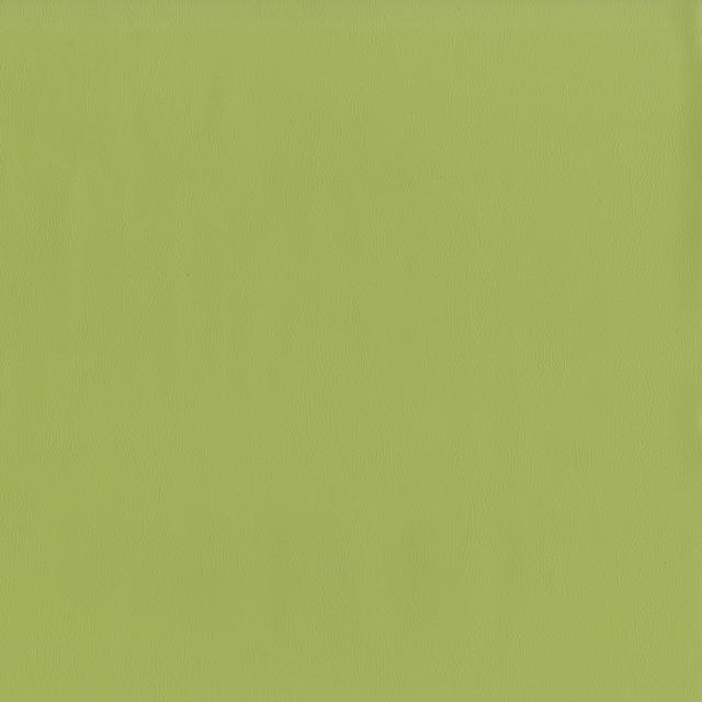 Jackson # 615 Aloe by Maxwell Fabric Jackson FACE: 100% PVC
BACKING: 100% POLYESTER CHINA 55" - Fabric Carolina -