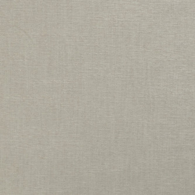 Carsen Grey by Mitchell Fabric #2206 75% Polyester,25% Viscose Imported </p><p>Repeat: Horizontal: and Vertical: 51"-54" - Fabric Carolina -
