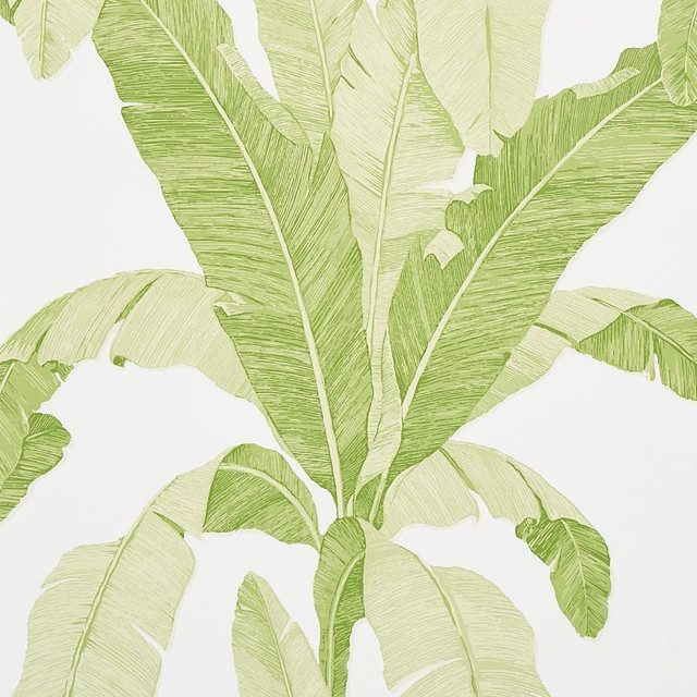 Erisimo Leaf 5012110 by Schumacher Wallpaper Copacabana 27.0" - Fabric Carolina - Erisimo Leaf 5012110 by Schumacher Wallpaper Copacabana 27.0" - Fabric Carolina -