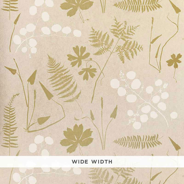 Modern Botanical Parchment 5005010 by Schumacher Wallpaper Modern Nature 46.75" - Fabric Carolina - Modern Botanical Parchment 5005010 by Schumacher Wallpaper Modern Nature 46.75" - Fabric Carolina -