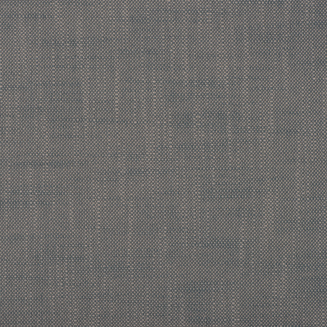 Insideout Frances Denim by Magnolia Fabric - 100% Poly (Uv) Usa 50,000+ Horizontal: 0.063 and Vertical: 0.063 55.5 - Fabric Carolina -