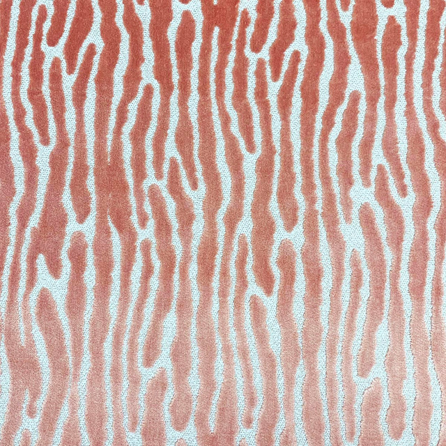Mazen Coral by Magnolia Fabric - 50 Poly, 41 Vis, 9 Cot India 30000 Horizontal: 13.5 and Vertical: 13.5 54 - Fabric Carolina -