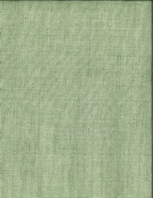 Calvert Cactus 389 by Norbar Fabric LINCHEX 100% LINEN INDIA 54 - Fabric Carolina -
