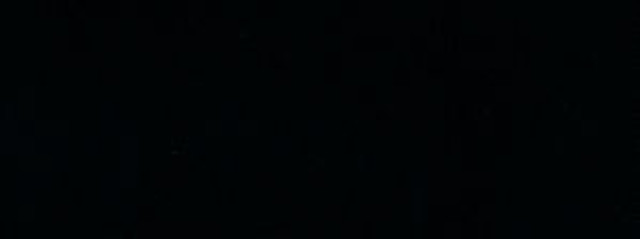 Campo Noir 947 by Norbar Fabric CAMPO 100% COTTON INDIA 54" - Fabric Carolina -