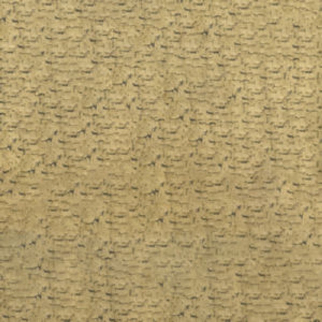Carolina Coin 54 by Norbar Fabric 80% VISCOSE 20% POLYESTER CHINA 42,000 WYZENBEEK 56 - Fabric Carolina -