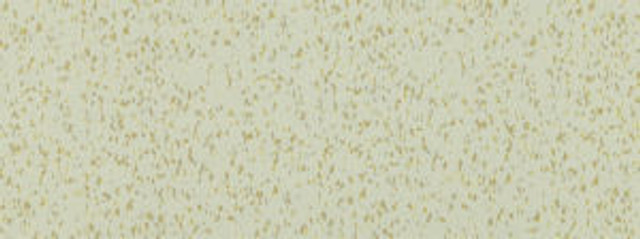 Festive Golden 81 by Norbar Fabric 80% POLYESTER 20% LUREX INDIA 100,000 WYZENBEEK 3 1/2"V 4 3/4"H 56 - Fabric Carolina -