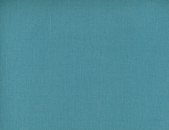 Frenzy Pool 449 by Norbar Fabric FRENZY 60% COTTON 40% LINEN INDIA 54 - Fabric Carolina -