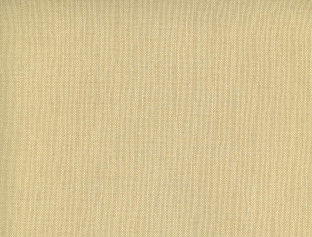 Frenzy Tahini 114 by Norbar Fabric FRENZY 60% COTTON 40% LINEN INDIA 54 - Fabric Carolina -