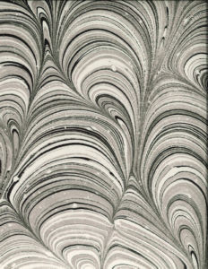 Holden Grey 231 by Norbar Fabric MONTAGE 100% POLYESTER SPAIN 20 3/8"V 13 1/3"H 54 - Fabric Carolina -