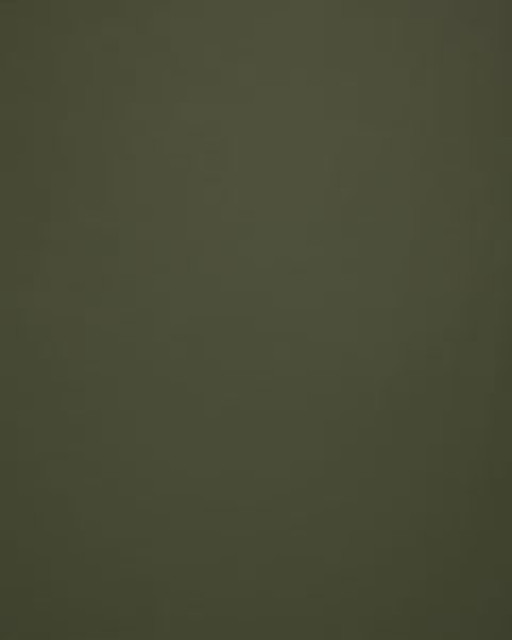 Lucky Olive by Norbar Fabric LUCKY 100% POLYURETAHNE CHINA 54 - Fabric Carolina - Lucky Olive by Norbar Fabric LUCKY 100% POLYURETAHNE CHINA 54 - Fabric Carolina -