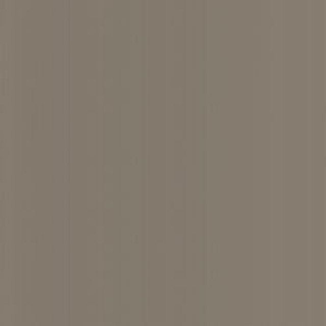 Lucky Taupe by Norbar Fabric LUCKY 100% POLYURETAHNE CHINA 54 - Fabric Carolina -