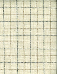 Nashville Tussah 215 by Norbar Fabric PRISM NEUTRALS 100% POLYESTER INDIA 2"V 2"H 54 - Fabric Carolina -