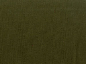 Primo Boxwood 295 by Norbar Fabric PRIMO 100% COTTON USA 56 - Fabric Carolina -